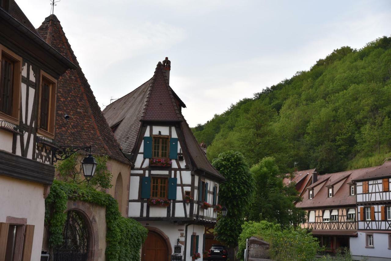 Le Cerisier Villa Kaysersberg-Vignoble Exterior photo